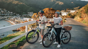 NSW eBike Sales Update: What You Need to Know Right Now