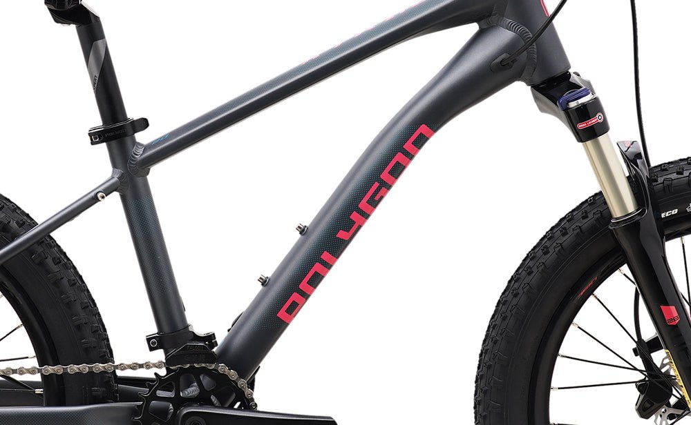 Polygon Xtrada 20 - Kids Mountain Bike