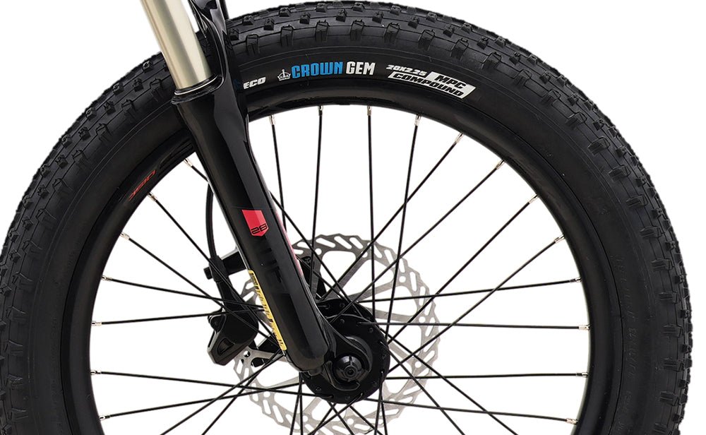 Polygon Xtrada 20 - Kids Mountain Bike