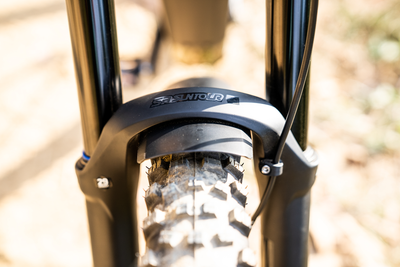 TRAIL-READY SUSPENSION