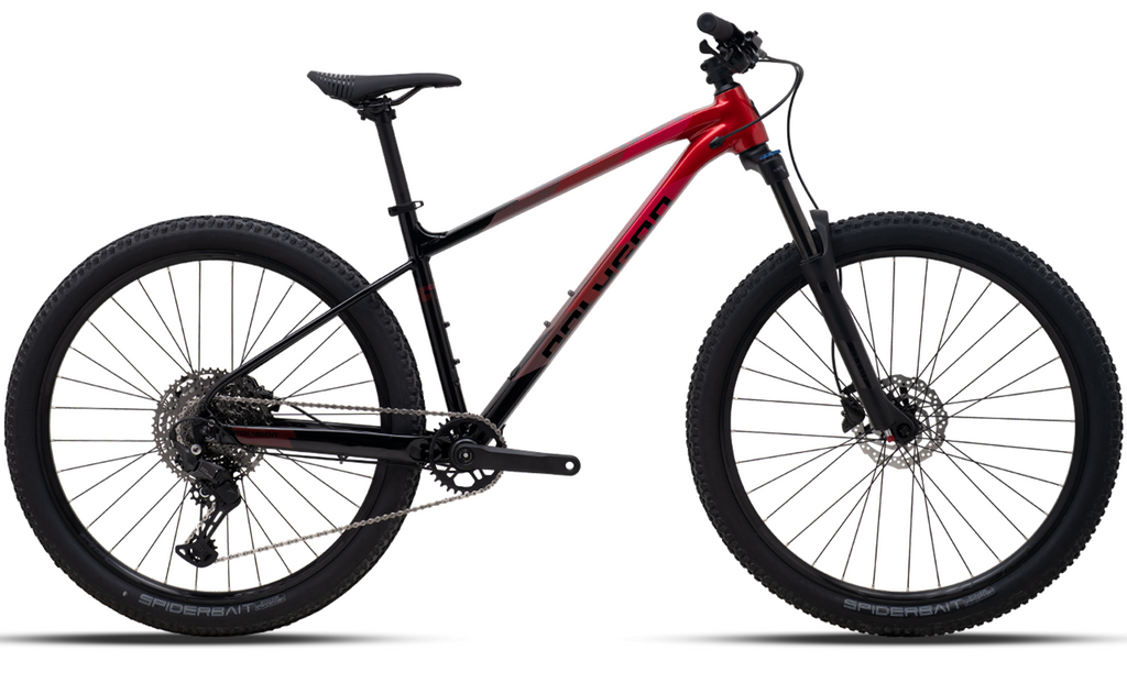 Polygon Xtrada Mountain Bike - Main Image