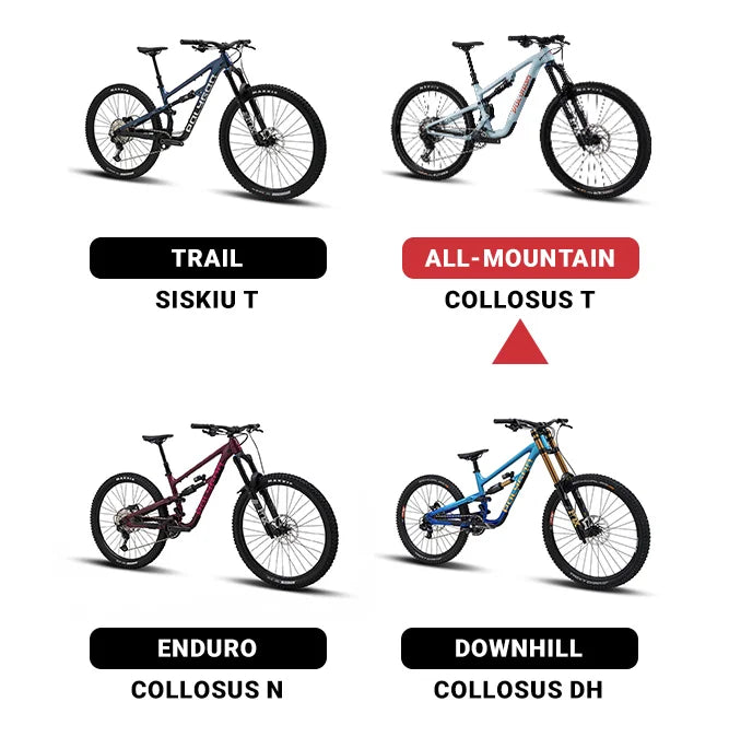 Collosus Rabbit Collosus Alloy T Landing Page