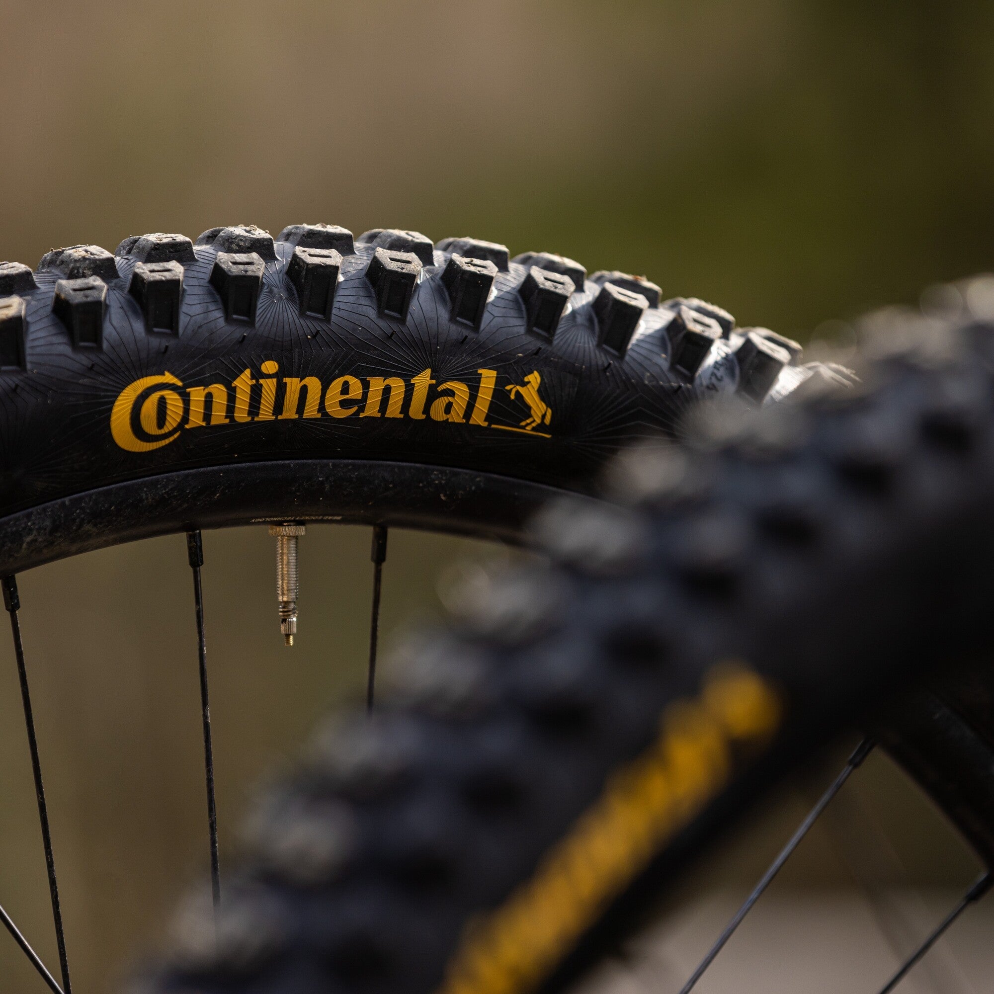 Continental Argotal MTB Tyre BikesOnline Au