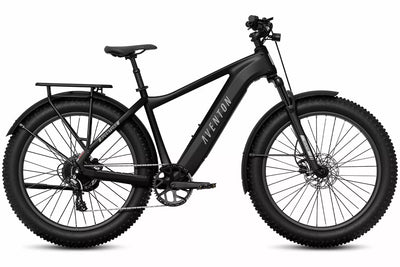 Aventon Aventure 3 - Off-Road eBike