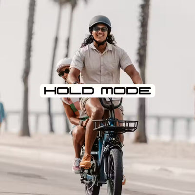HOLD MODE