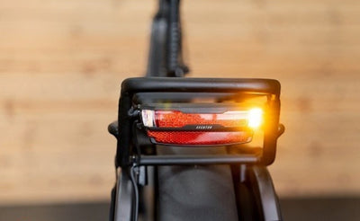 INTEGRATED BRAKE LIGHTS AND INDICATORS 