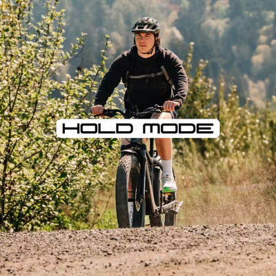HOLD MODE