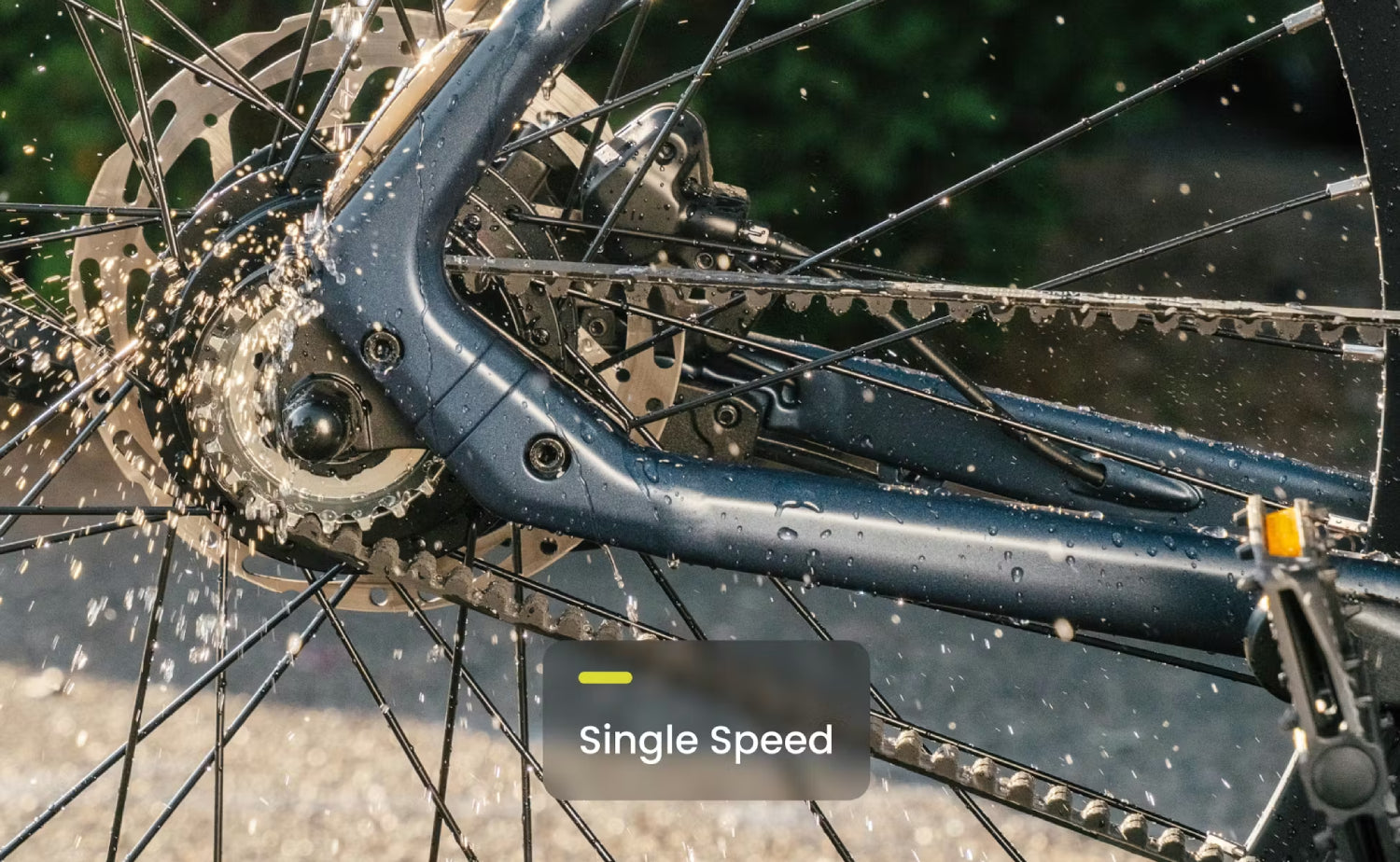 SINGLE SPEED