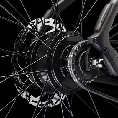 SINGLE-SPEED SIMPLICITY