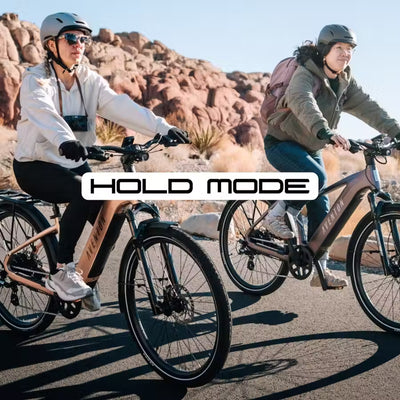 HOLD MODE