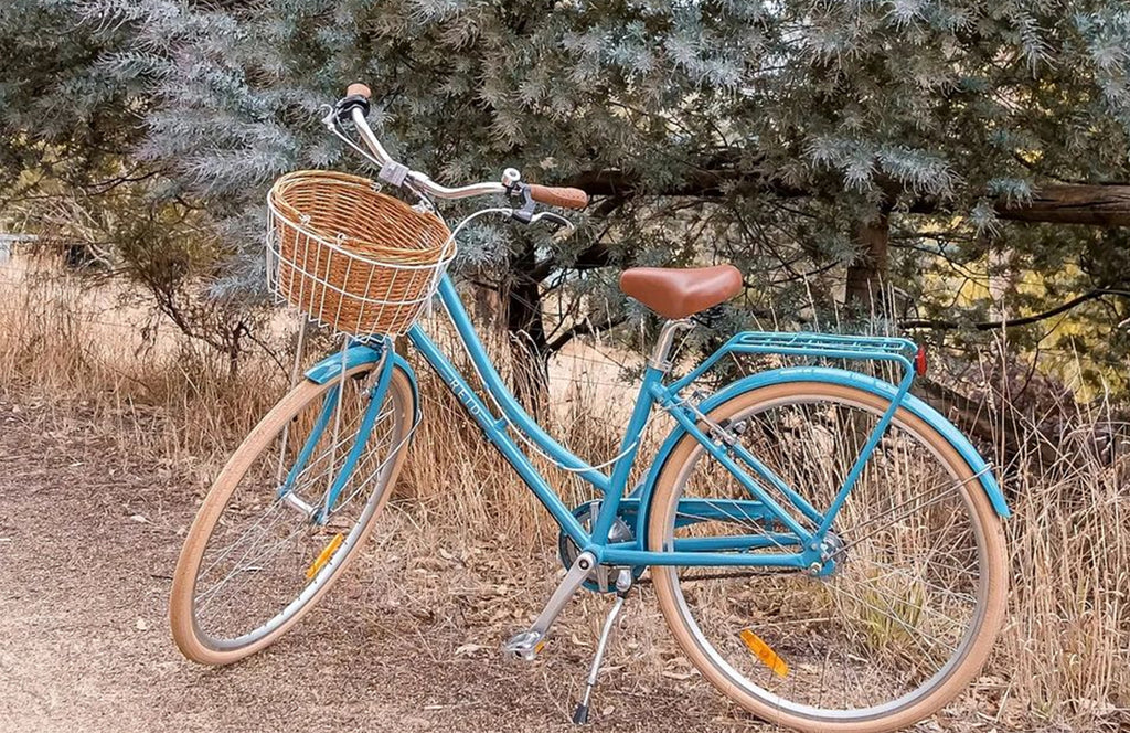 Vintage Bicycles Bikes For Old Ladies Bike Ride Old Fashioned