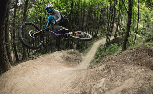 THE PARK MACHINE