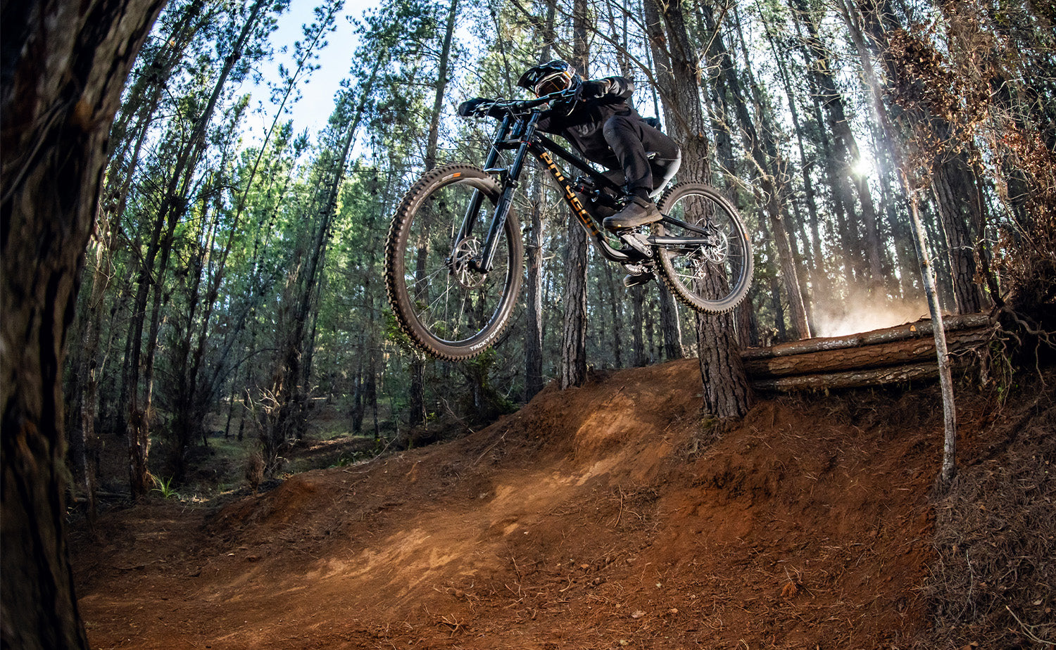 DOWNHILL REBORN