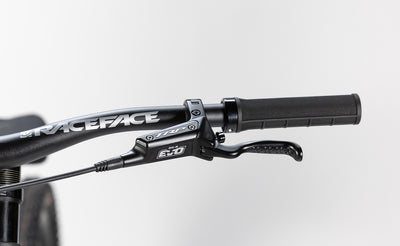 TRP DH-R EVO