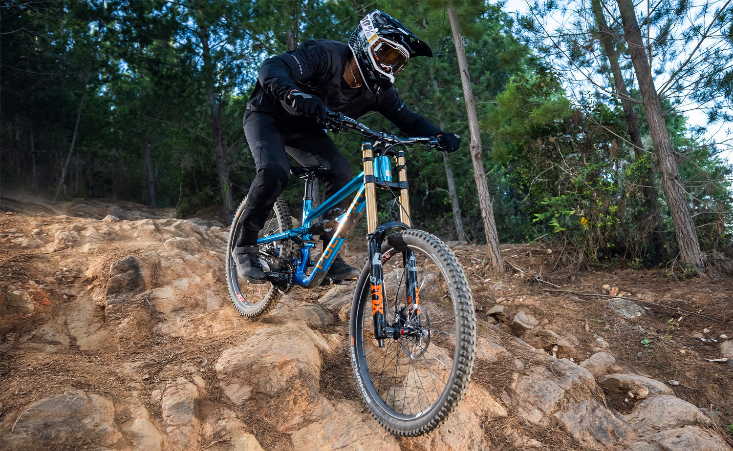 DOWNHILL REBORN