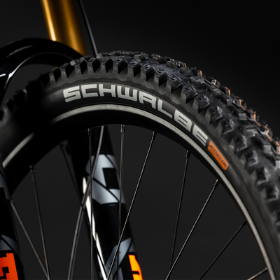 SCHWALBE TACKY CHAN
