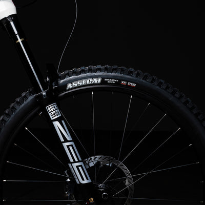ROBUST WHEELS & MAXXIS TYRES