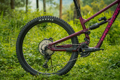 MAXXIS ASSEGAI TYRES