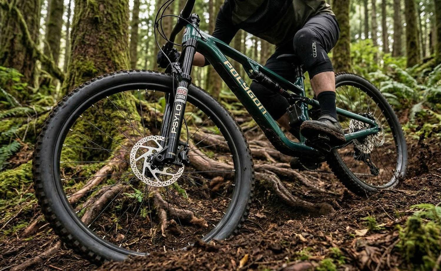 DIALED FOR MORE