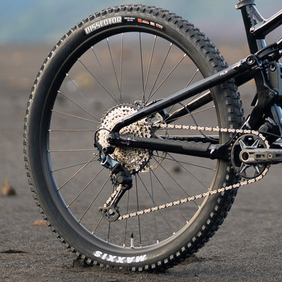 MAXXIS DISSECTOR TYRES