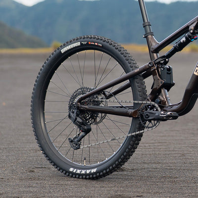 MAXXIS DISSECTOR TYRES