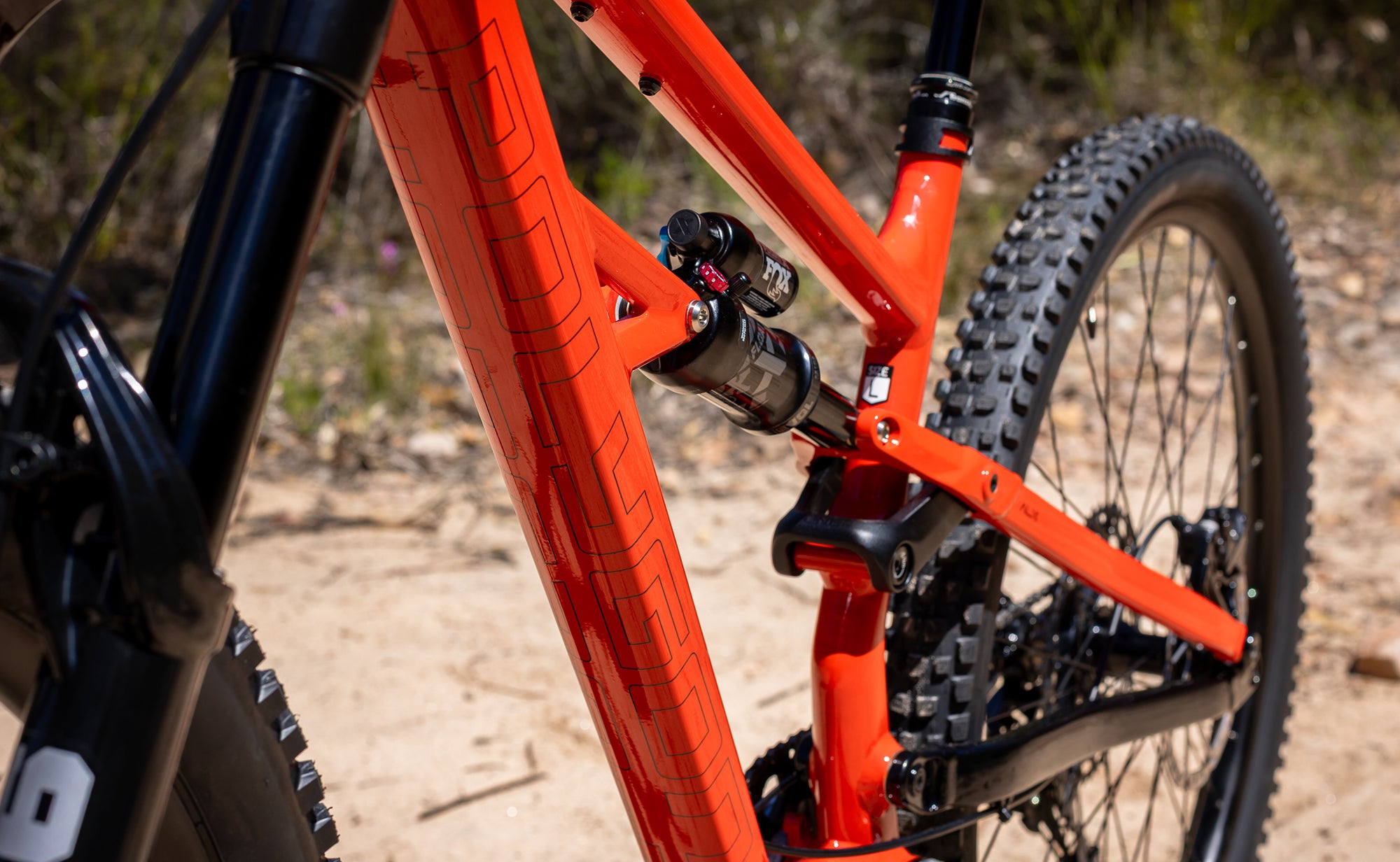 ANY TRAIL - ANY RIDER