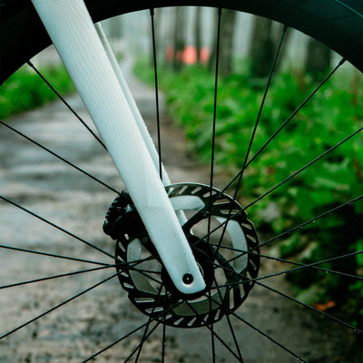 ULTEGRA DISC BRAKES