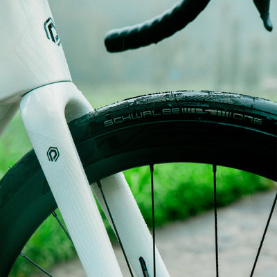 CARBON WHEELS & SCHWALBE TYRES