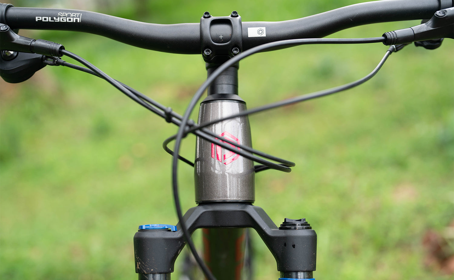 Polygon Xtrada 6 - Mountain Bike [New] | BikesOnline.com.au