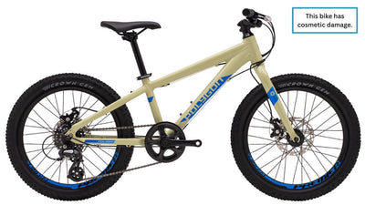 Ex Demo - Polygon Premier 20 Disc - Kids Mountain Bike C1