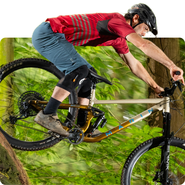 Dual Suspension