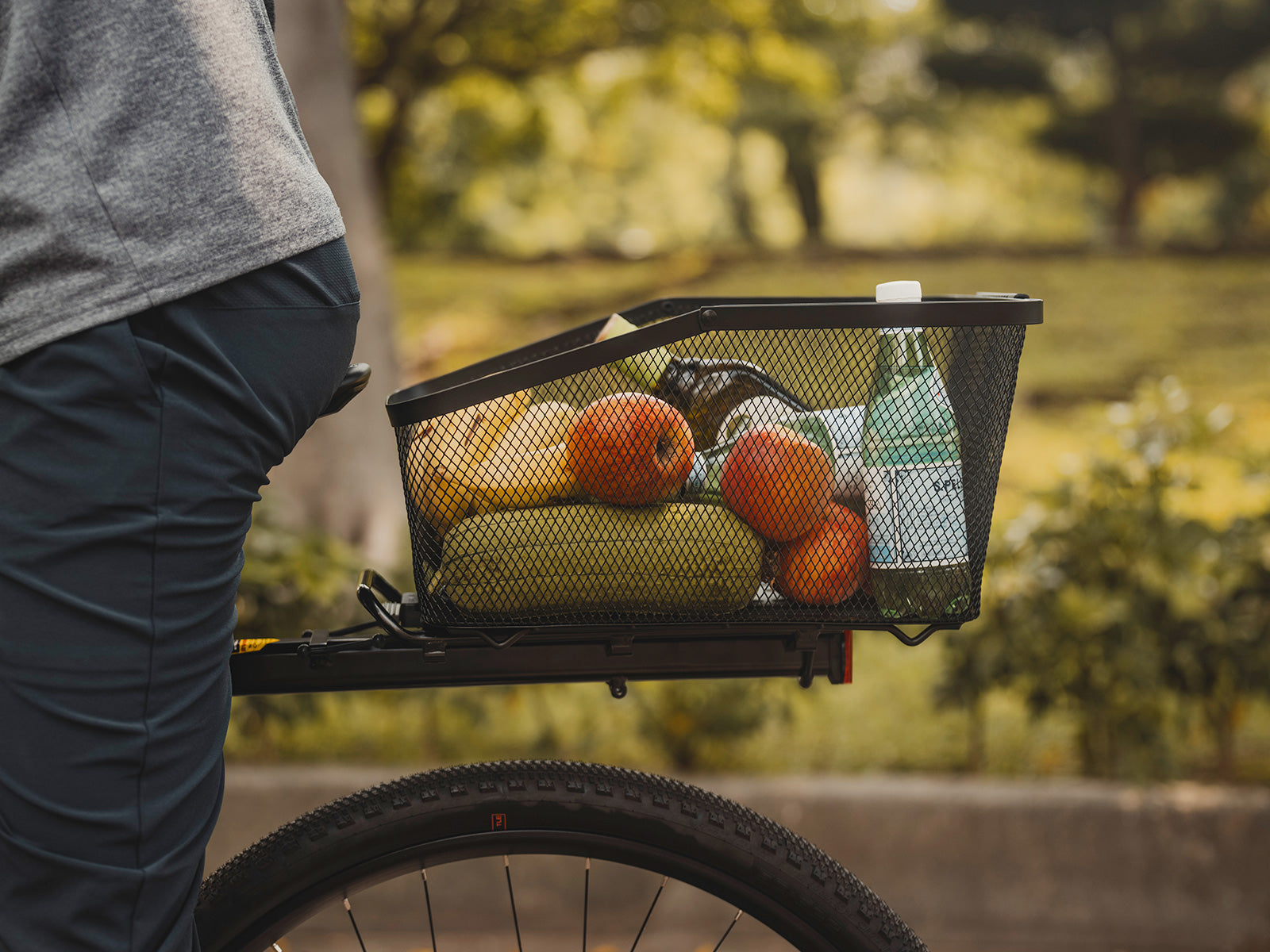 Get Topeak MTX Beamrack II E-Type for 29