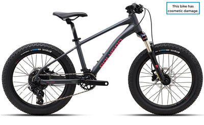 Ex Demo - Polygon Xtrada 20 - Kids Mountain Bike K1