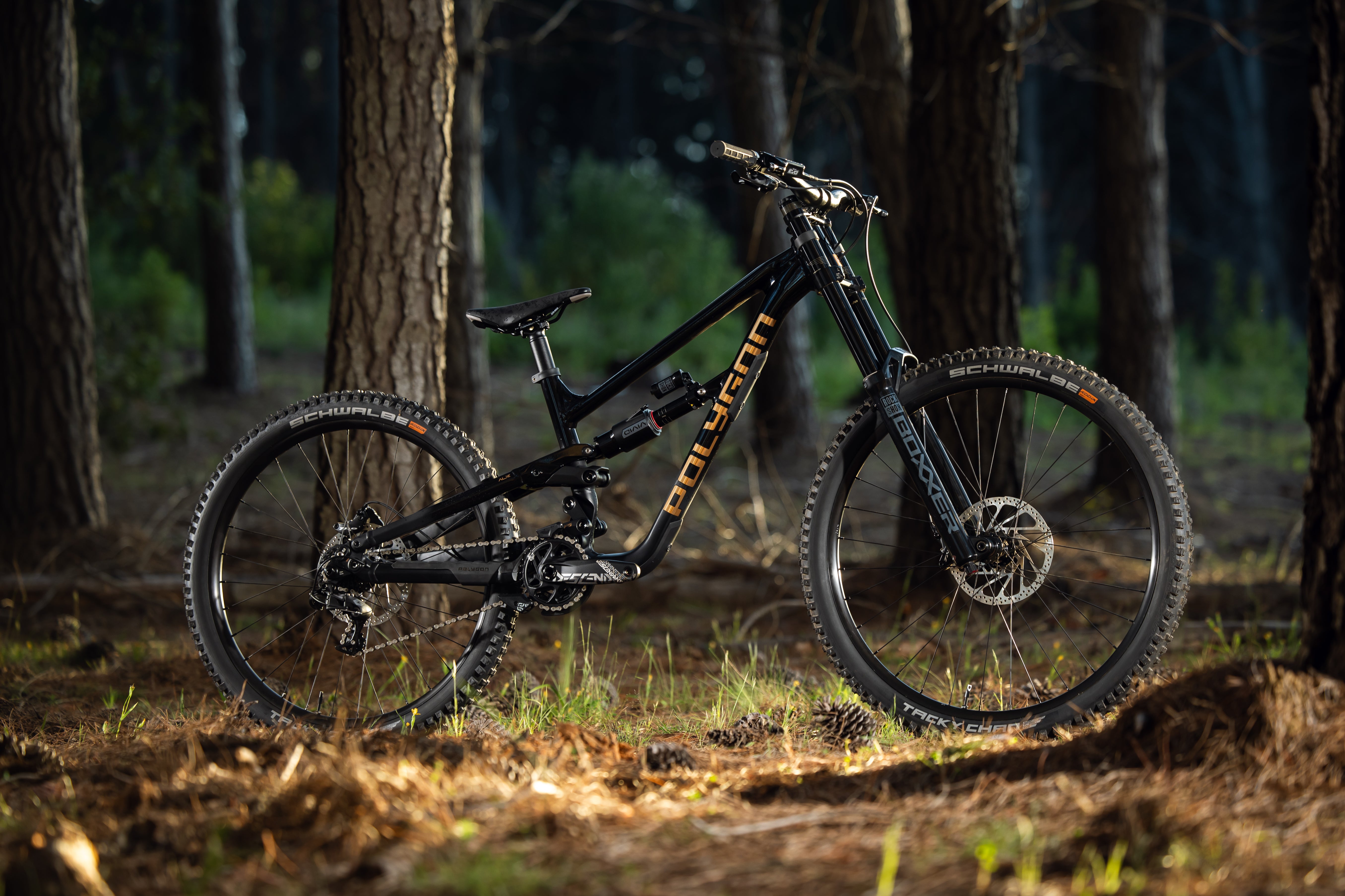 Dirt Bikes Small Downhill Mountain Bike Polygon Collosus DH7